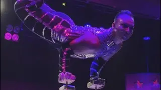 ✨️🎪 AMAZING CIRCUS HANDBALANCE ACT AUDIOTION VIDEO 