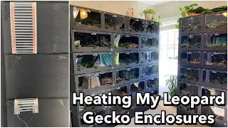 How I Heat My New Leopard Gecko Enclosures