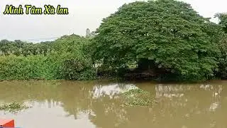 Đi lấy cát cam nước gần như hết đổ tập 23/MinhTâmxàlan 