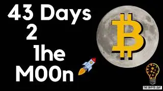 Bakkt, The Intercontinental Exchange new Company, Along with Starbucks, Microsoft  Crypto Moon