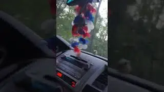 CRAZY!!!! Story time in Greer, South Carolina during the storm response.