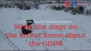 What is a data breach - Open plan office near public space