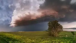 Feel of danger - Thunder blues (2021)