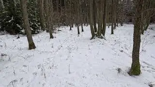 31.1.2026 - poslední naháňka 25/26