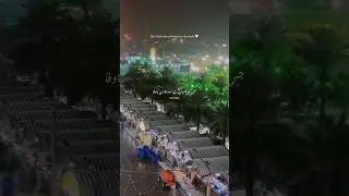 Winter first rain 🌧️🥰