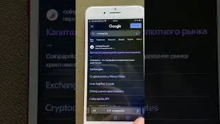 Смотрим за Nexa через Coinpaprika. Часть 1