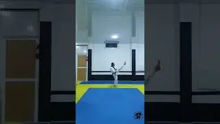 Taekwondo Poomsae :                       Third Pattern : Tae Geug Sam Jang   Master Sami