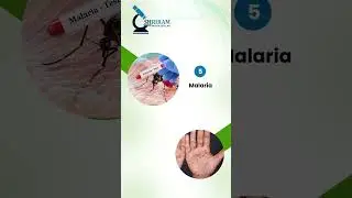 🔬 Expert Lab Services in Meerut