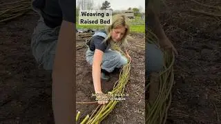 Как сплести высокие грядки БЕСПЛАТНО! 🌱 #садоводство #овощеводство #огород