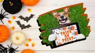 HomeWard Bound Real Estate Newsletter October 2020 | James Viscome