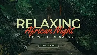 Relaxing Nature Sounds for Short Sleep_African Night | Soundquest Vitamins #nature #sleep