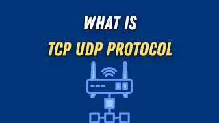 Что такое протокол TCP/UDP?