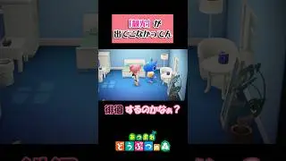 【あつ森】重大な選択ミス&hellip;#shorts