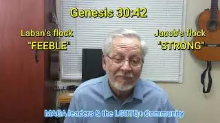 MAGA Leaders And the LGBTQ+ Community
