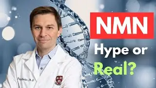 NMN Really Works? Harvard Scientist Dr David Sinclair Explains the Truth | Nmn supplements review