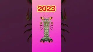 2023 Mantis Shrimp vs 5000 bce Mantis Shrimp