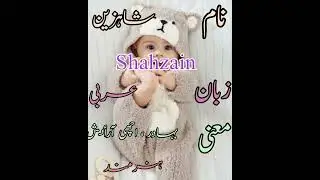 Shahzain ( شاہزین) name meaning in urdu / muslim boy name  #yt shorts #2023