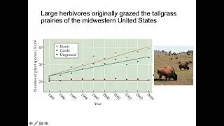 Management of Protected Areas