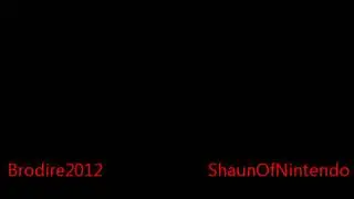 Interview With ShaunOfNintendo