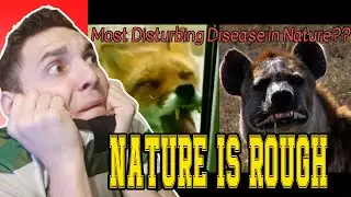 ANIMAL DISEASES THAT BELONG IN A HORROR MOVIE | CASUAL GEOGRAPHIC | **REACTION**