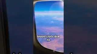 What happens to your body during flight?