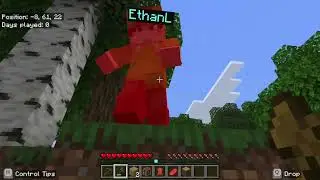 My first Minecraft video