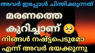 നിങ്ങൾ ഇല്ലാത്ത അവരുടെ ജീവിതത്തെ അവർ ഭയക്കുന്നു 💯 |#tarot #astrology 