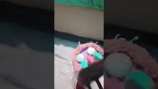 Chicken staaars