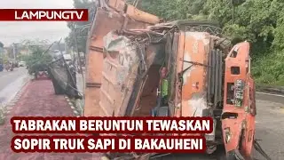 Tabrakan Beruntun Tewaskan Sopir Truk Sapi di Bakauheni
