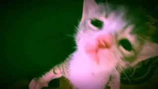 Sea Oleena - On Possession [Best Part + Wind Chimes]