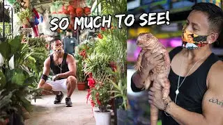 CARTIMAR Pet Market SHOPPING SPREE & TOUR - March 29, 2022 | Vlog #1472