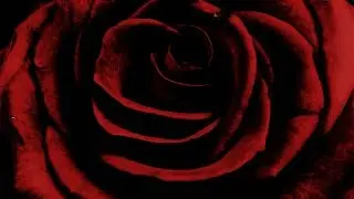 Jason Mann &ndash; &lsquo;Hunter of his Shadows&rsquo; with lyrics