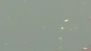 七星漂钓草边，立春后天气暖和了，又可以出来钓鱼了