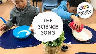 Science Week at Leichhardt Montessori Academy