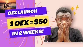 How to do Open Exchange (OpenEx) testnet tasks