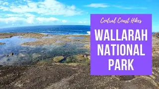 My favourite hike on the Central Coast... Wallarah National Park 🏞
