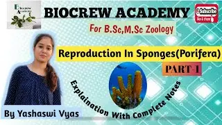 #BSc#MScZoology👉Reproduction In Sponges(Porifera)With Complete Notes(Part-1)