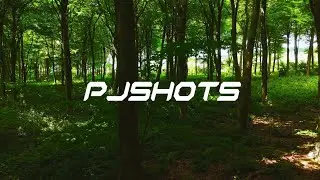 Friston Forest 📌 DJI Mini 4 Pro & DJI Avata 2 // PJshots