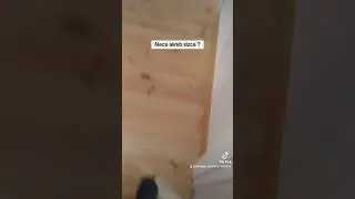 Hər z&ouml;vqə uyğun ev təmiri