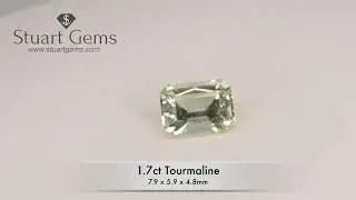 1.7ct Yellow Tourmaline/ Octagon Cut