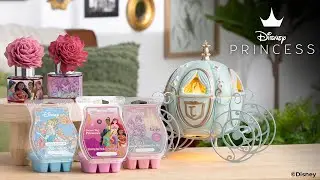 Disney Princess Collection!