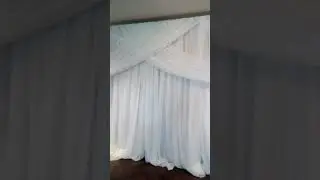 White Back Drop