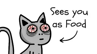 What Cats Really think of Humans