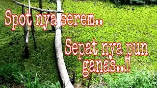 MANCING SEPAT SIAM SENDIRIAN DI SPOT INI...SERAM NYA MINTA AMPUN..😱😱 /Vlog#06