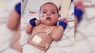 Athena&rsquo;s Journey: From Heart Failure to a Full Heart