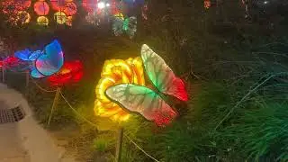 John Ball Zoo Lantern Festival Part 2