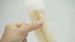 Bottle Brush Set | Plastic-Free Products | Zero-Waste Essentials | Bambaw
