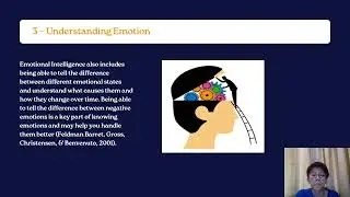 perception and Emotion presentation