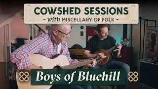 Captivating Rhythms of 'Boys of Bluehill' by Miscellany of Folk (Cowshed Sessions)