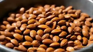 Inside Russia&rsquo;s Mega Almond Factory 🥜&rdquo;🏭  How Millions of Almonds Are Processed&rdquo;